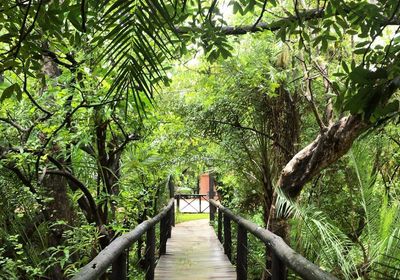 Lush Gardens